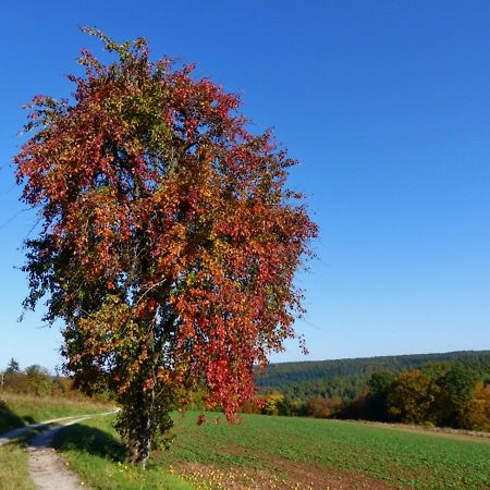 Blumenschein-Ferienwohnung Unne Kirchzell Exteriör bild