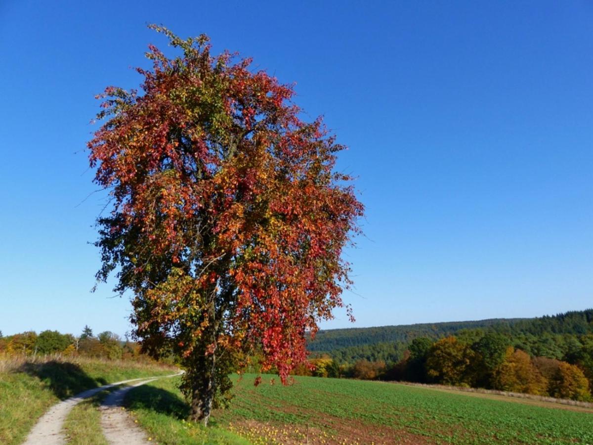 Blumenschein-Ferienwohnung Unne Kirchzell Exteriör bild