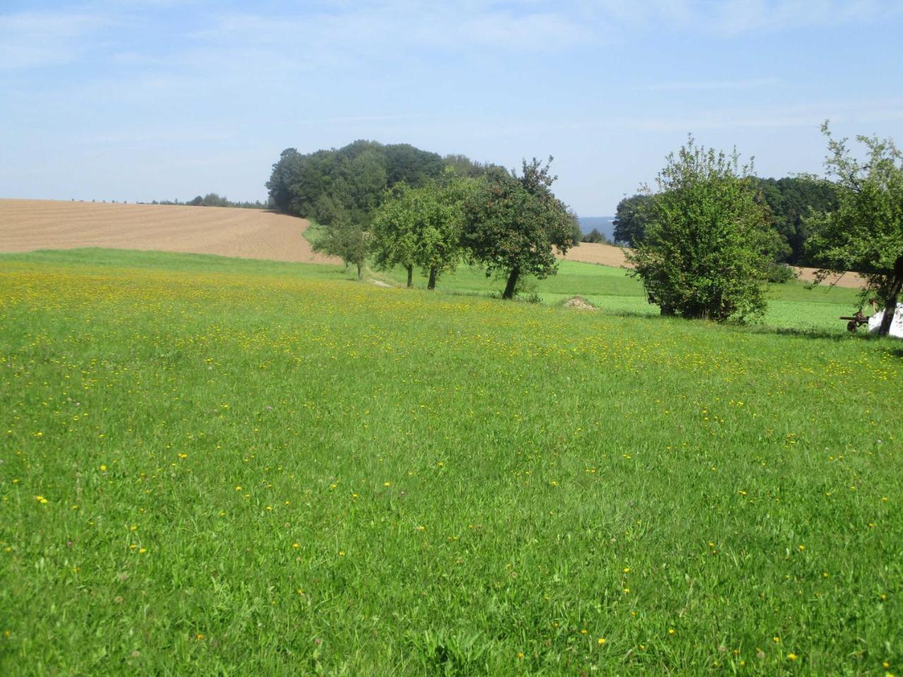 Blumenschein-Ferienwohnung Unne Kirchzell Exteriör bild